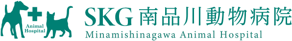 東京都品川区の動物病院 南品川動物病院　ホームへ